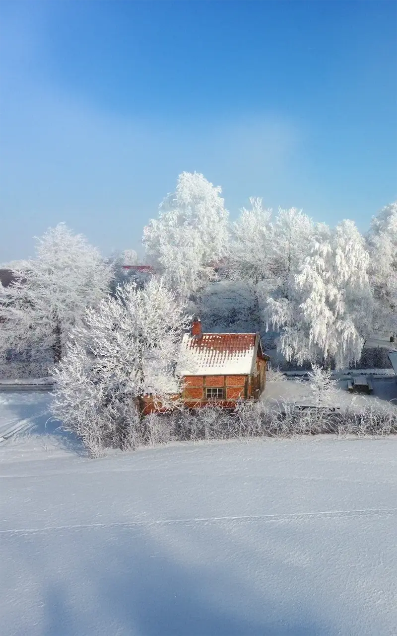 Winterliche Landschaft mit einem Holzhaus umgeben von schneebedeckten Bäumen und blauem Himmel.